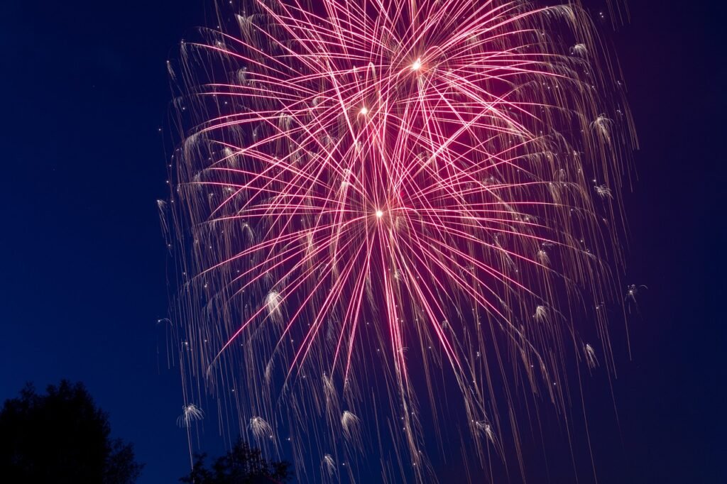 sylvester, fireworks, night, pyrotechnics, rocket, new year's day, high altitude fireworks, shower of sparks, red, fountain, new years greetings, firework rocket, new year's eve, to celebrate, cologne lights, show, lights, eve, light, cologne, fireworks, fireworks, fireworks, fireworks, fireworks